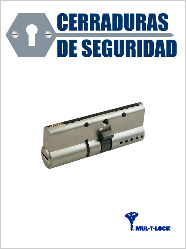DISEC protección magnética llave borjas doble pala 